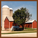 Subject: Dairy Farm; Location: Wisconsin; Date: August 2002; Photographer: Sonya Newenhouse