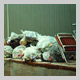 Subject: Waste Pile on Madeline Island; Location: Madeline Island, Wisconsin; Date: 1997; Photographer: Sonya Newenhouse