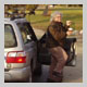 Subject: Memeber stepping out of Car; Location: Madison, WI; Date: December 2005; Photographer: Katherine Park
